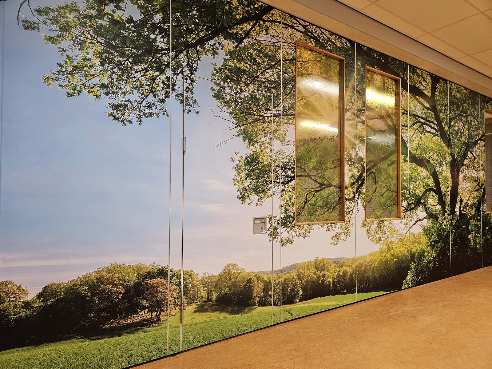 Vouwwand in schoolaula met folieprint van een boomrijk landschap en transparante folie op de ramen, door Decopartners.